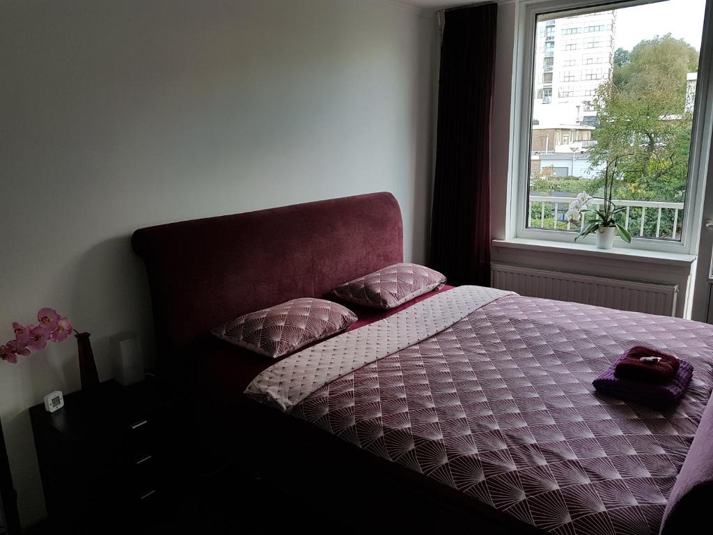 Sunny Guesthouse room 1