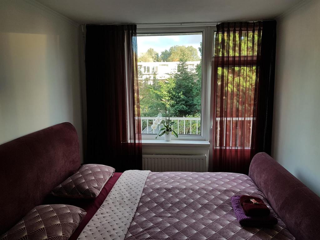 Sunny Guesthouse room 3